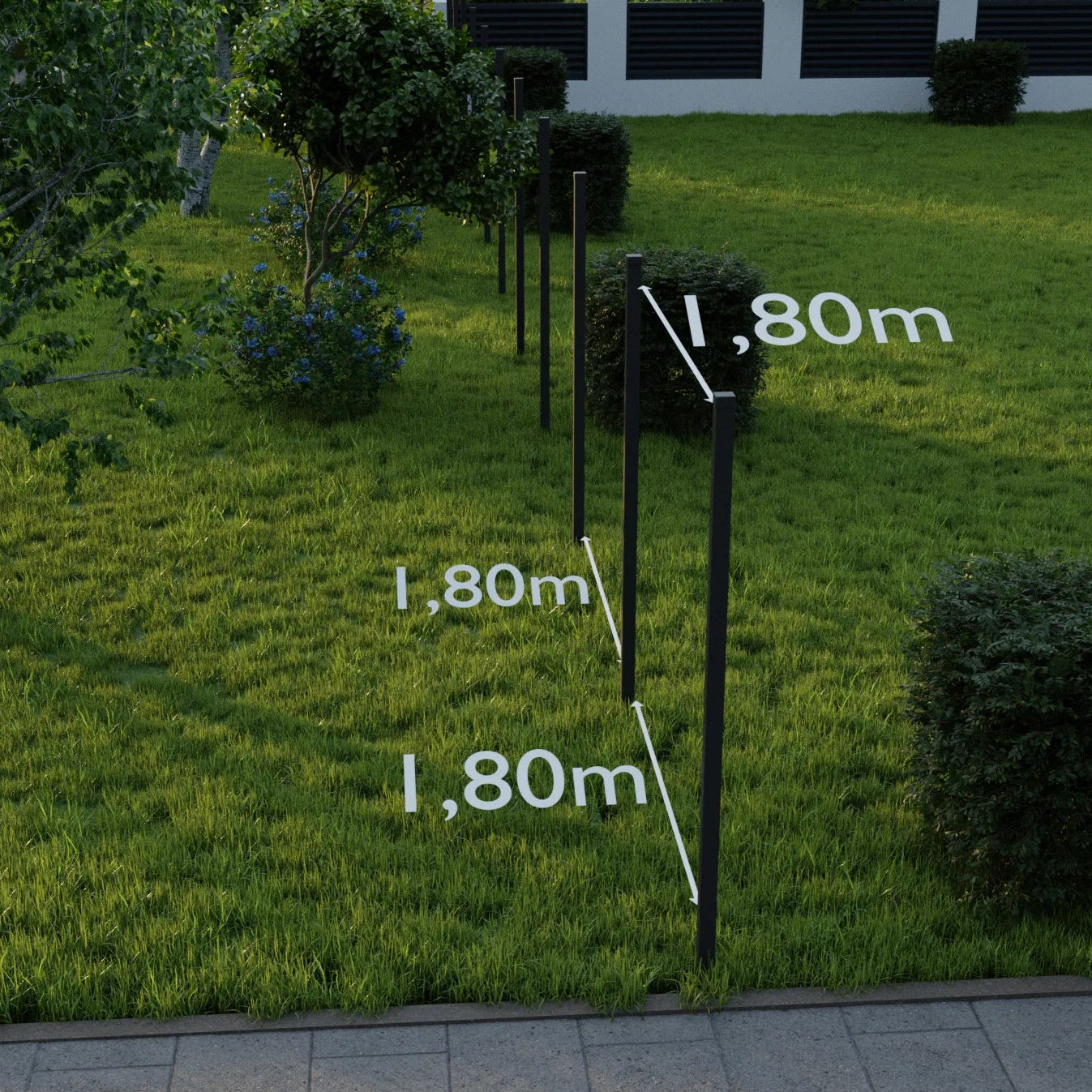 Potted plant with a height measurement of 1.80m on a grassy area.